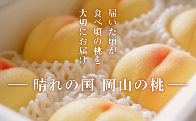 岡山県里庄町のふるさと納税 【 2026年 先行予約】 桃 岡山県産 白鳳 （ 白桃 ） 約2kg（6～8玉） 《2026年7月上旬-中旬頃出荷》 白桃 岡山 はくとう スイーツ フルーツ 果物 先行予約 数量限定 期間限定 岡山 里庄町 モモ もも 桃