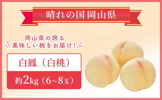 岡山県里庄町のふるさと納税 【 2026年 先行予約】 桃 岡山県産 白鳳 （ 白桃 ） 約2kg（6～8玉） 《2026年7月上旬-中旬頃出荷》 白桃 岡山 はくとう スイーツ フルーツ 果物 先行予約 数量限定 期間限定 岡山 里庄町 モモ もも 桃
