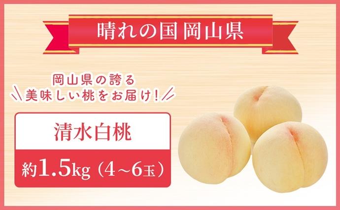 2027年 先行予約】 桃 岡山県産 清水 白桃 約1.5kg(4～6玉) 《2027年7