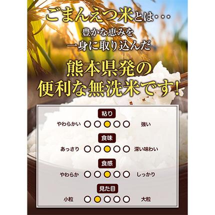 熊本県長洲町のふるさと納税 訳あり 米 ごまんえつ米 5kg 米 こめ 無洗米 家庭用 熊本県 長洲町 くまもと おうちご飯 返礼品 ブレンド米 送料無料 国内産 熊本県産 訳あり 常温 配送 《7-14日以内に出荷予定(土日祝除く)》