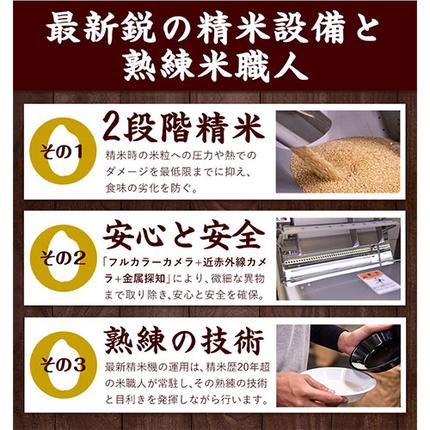 熊本県長洲町のふるさと納税 訳あり 米 ごまんえつ米 5kg 米 こめ 無洗米 家庭用 熊本県 長洲町 くまもと おうちご飯 返礼品 ブレンド米 送料無料 国内産 熊本県産 訳あり 常温 配送 《7-14日以内に出荷予定(土日祝除く)》