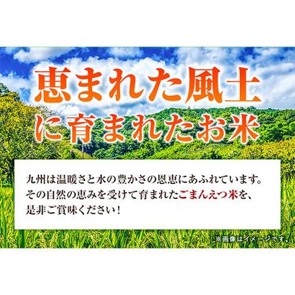 熊本県長洲町のふるさと納税 訳あり 米 ごまんえつ米 5kg 米 こめ 無洗米 家庭用 熊本県 長洲町 くまもと おうちご飯 返礼品 ブレンド米 送料無料 国内産 熊本県産 訳あり 常温 配送 《7-14日以内に出荷予定(土日祝除く)》