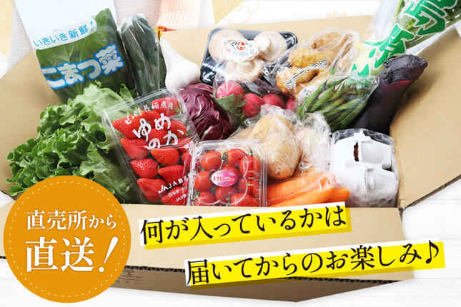 長崎県島原市のふるさと納税 CA025 野菜・フルーツ・卵 旬のおまかせセット （野菜・フルーツ13～14品目、卵6玉）[ 野菜セット 野菜 フルーツ 果物 たまご 鶏卵 産地直送 厳選 長崎県 島原市 送料無料]