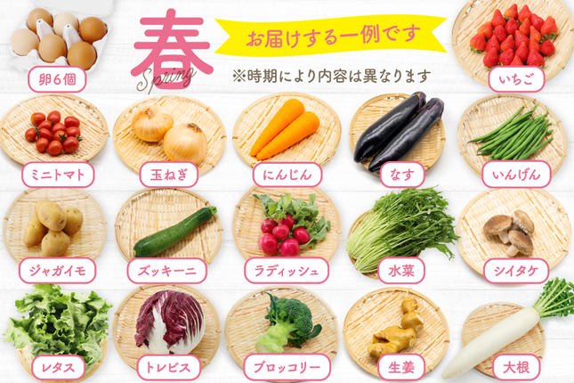 長崎県島原市のふるさと納税 CA025 野菜・フルーツ・卵 旬のおまかせセット （野菜・フルーツ13～14品目、卵6玉）[ 野菜セット 野菜 フルーツ 果物 たまご 鶏卵 産地直送 厳選 長崎県 島原市 送料無料]