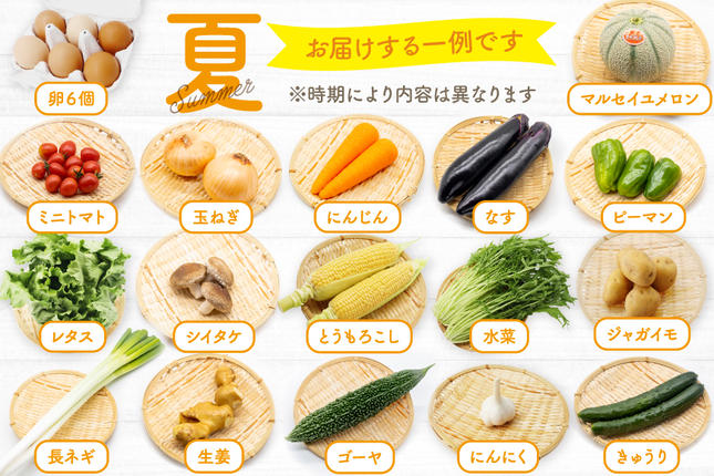 長崎県島原市のふるさと納税 CA025 野菜・フルーツ・卵 旬のおまかせセット （野菜・フルーツ13～14品目、卵6玉）[ 野菜セット 野菜 フルーツ 果物 たまご 鶏卵 産地直送 厳選 長崎県 島原市 送料無料]