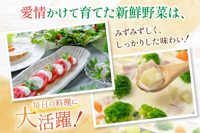 長崎県島原市のふるさと納税 CA025 野菜・フルーツ・卵 旬のおまかせセット （野菜・フルーツ13～14品目、卵6玉）[ 野菜セット 野菜 フルーツ 果物 たまご 鶏卵 産地直送 厳選 長崎県 島原市 送料無料]