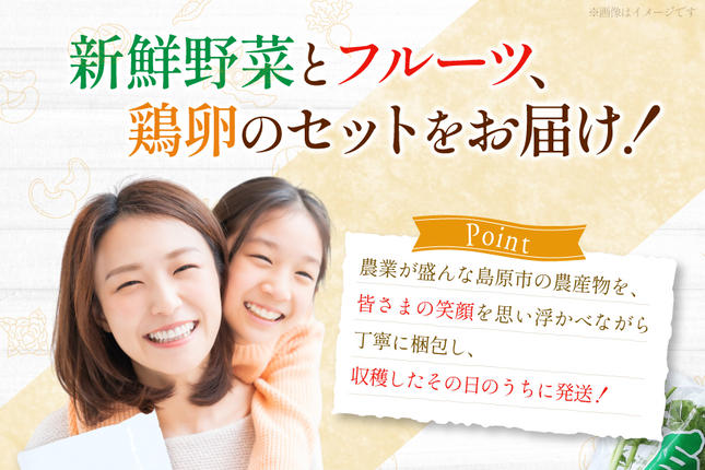 長崎県島原市のふるさと納税 BH113 【6回定期便】 野菜・フルーツ・卵 旬のおまかせセット （野菜・フルーツ13～16種、卵6玉） [ 野菜セット 野菜 フルーツ 果物 たまご 鶏卵 産地直送 厳選 長崎県 島原市 送料無料]