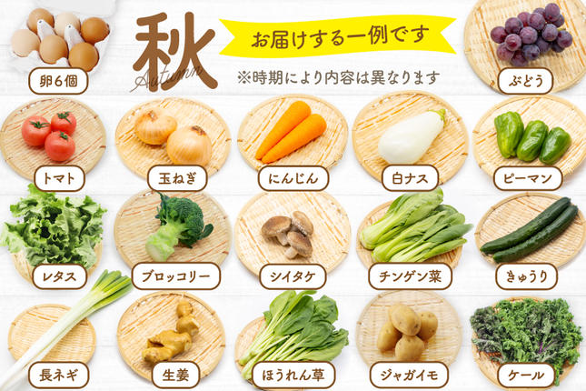 長崎県島原市のふるさと納税 BH113 【6回定期便】 野菜・フルーツ・卵 旬のおまかせセット （野菜・フルーツ13～16種、卵6玉） [ 野菜セット 野菜 フルーツ 果物 たまご 鶏卵 産地直送 厳選 長崎県 島原市 送料無料]