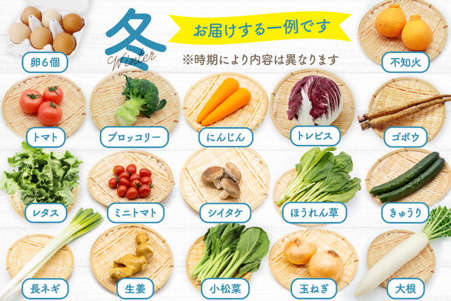 長崎県島原市のふるさと納税 BH113 【6回定期便】 野菜・フルーツ・卵 旬のおまかせセット （野菜・フルーツ13～16種、卵6玉） [ 野菜セット 野菜 フルーツ 果物 たまご 鶏卵 産地直送 厳選 長崎県 島原市 送料無料]