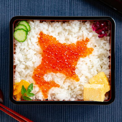 北海道紋別市のふるさと納税 35-53 鱒いくら醤油漬け200g×4パック 合計800g