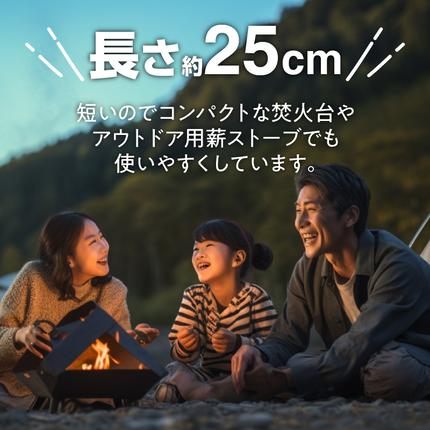 愛知県小牧市のふるさと納税 乾燥薪　約20kg（10kg×2箱）[087Y08]