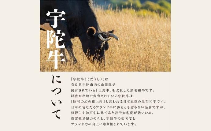 奈良県宇陀市のふるさと納税 特産 認定肉 宇陀牛 国産 黒毛和牛 特上 すき焼 約400g チルド / 宇陀 山繁 ふるさと納税 牛肉 人気 BBQ 焼きしゃぶ キャンプ 寄付 ランキング おすすめ グルメ 肉 返礼品 送料無料