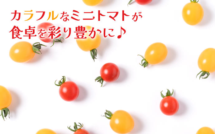 熊本県八代市のふるさと納税 【定期便3回】 ミニトマト (ミックス) 1.2kg×3回 八代市産 宮島農園 とまと 野菜
