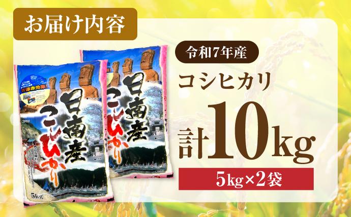 宮崎県日南市のふるさと納税 2週間以内に発送 早場米 コシヒカリ 計10kg 期間限定 日南市産 お米 ご飯 ライス 国産 令和7年産 人気 食品 精米 白米 こしひかり 有洗米 おにぎり お弁当 炊き込みご飯 雑炊 ギフト 贈り物 贈答 産地直送 宮崎県 日南市 送料無料_FA11-25