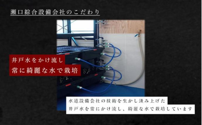 岐阜県海津市のふるさと納税 発芽にんにく餃子30個入り 餃子 にんにく にんにくたっぷり 国産にんにく 発芽にんにく 冷凍 臭わない 栄養価抜群 スタミナ 免疫アップ おつまみ おかず 総菜 餃子専門店 ぎょうざ 工場直売