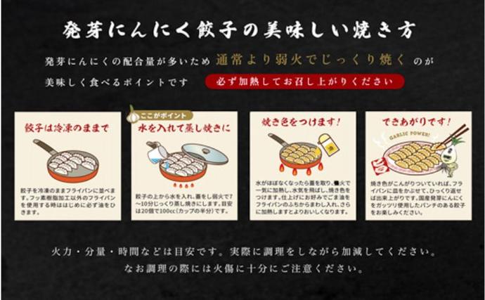 岐阜県海津市のふるさと納税 発芽にんにく餃子30個入り 餃子 にんにく にんにくたっぷり 国産にんにく 発芽にんにく 冷凍 臭わない 栄養価抜群 スタミナ 免疫アップ おつまみ おかず 総菜 餃子専門店 ぎょうざ 工場直売