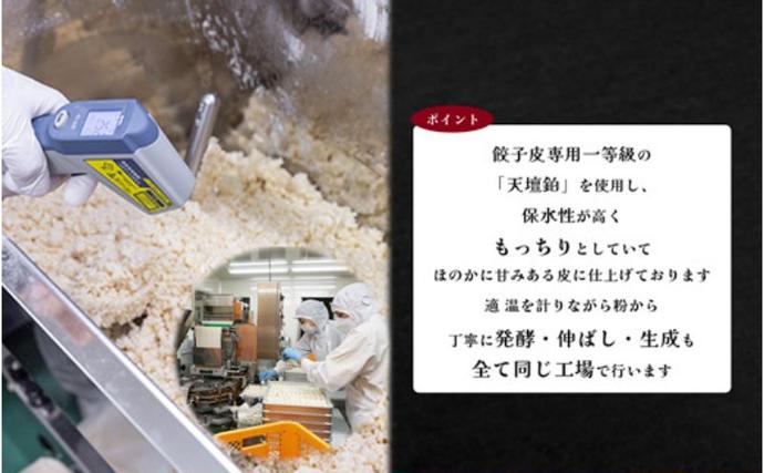 岐阜県海津市のふるさと納税 発芽にんにく餃子30個入り3パック　餃子 にんにく にんにくたっぷり 国産にんにく 発芽にんにく 冷凍 臭わない 栄養価抜群 スタミナ 免疫アップ おつまみ おかず 総菜 餃子専門店 ぎょうざ 工場直売 大量 まとめ買い