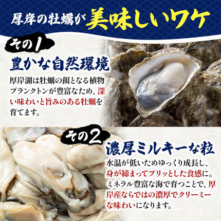 北海道厚岸町のふるさと納税 剥き牡蠣 160g 北海道 厚岸産 ムキ牡蠣 むき身 海鮮 海の幸 生牡蠣 かき カキ 生 ムキカキ むきがき むき牡蠣 ムキガキ マルえもん