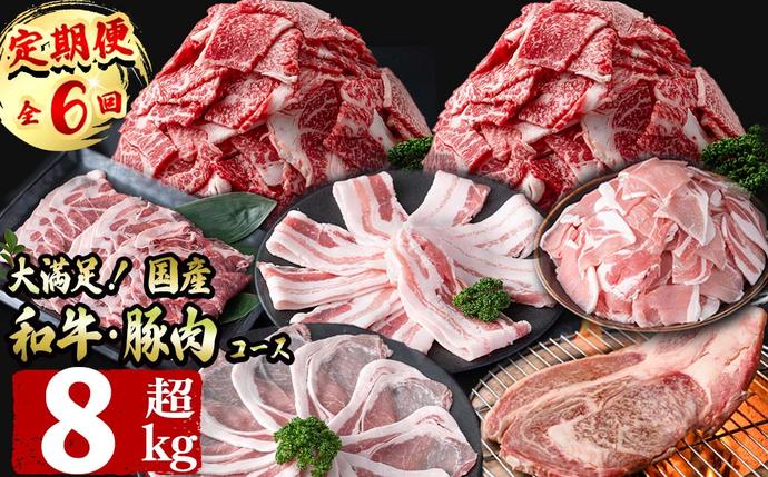 鹿児島県志布志市のふるさと納税 【定期便全6回】大満足！和牛・豚肉定期便(6ヶ月連続・総量8kg以上) t0079-001