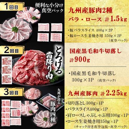 鹿児島県志布志市のふるさと納税 【定期便全6回】大満足！和牛・豚肉定期便(6ヶ月連続・総量8kg以上) t0079-001