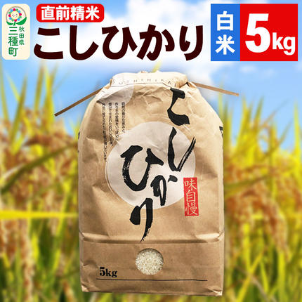 【精米】こしひかり 5kg（5kg×1袋）