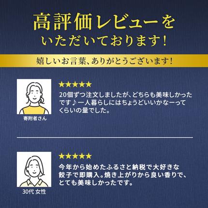 静岡県浜松市のふるさと納税 餃子 浜松 88ぱちぱち餃子 40個 (にんにくあり20個 にんにくなし 20個) セット 浜松餃子 詰め合わせ 国産 冷凍餃子 お試し 食べ比べ 惣菜 おかず 点心 中華 ご当地 ご当地グルメ ニンニク不使用 ギョーザ 冷凍 静岡県浜松市 浜松市 配送不可：離島