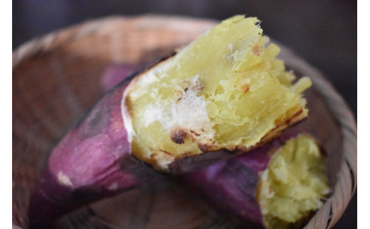 茨城県行方市のふるさと納税 【2025年11月より順次発送】2025年度産 上品な甘みのさつまいも あいこまち 約5kg｜さつまいも サツマイモ さつま芋 芋 お芋 あいこまち 先行予約 渋谷農園 人気 送料無料 茨城県 行方市(BZ-7)