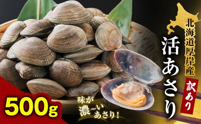 北海道 厚岸産 訳あり 活あさり 500g