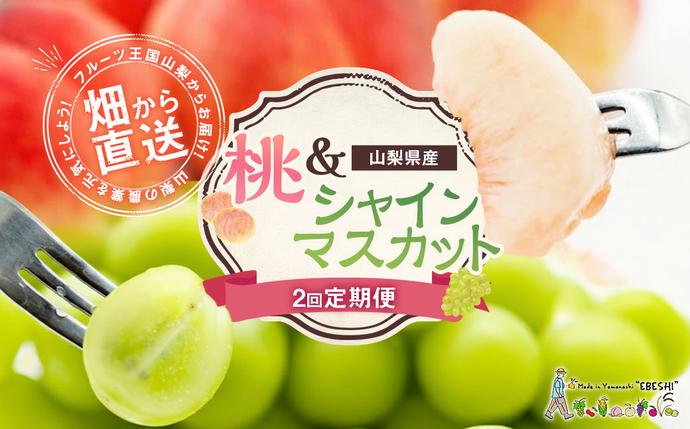 【期間限定発送】【旬の桃とシャインマスカッ