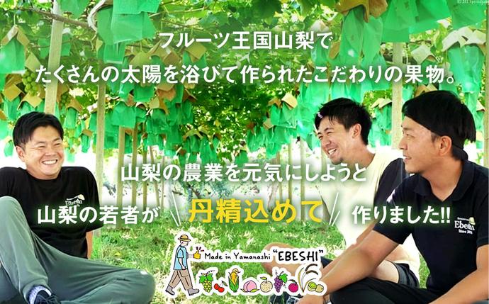 山梨県中央市のふるさと納税 【期間限定発送】【旬の桃とシャインマスカットの2回定期便】令和7年 桃約2kg（5～6玉）、シャインマスカット約1.8kg（2～4房） [株式会社えべし 山梨県 中央市 21470869] ぶどう 桃 フルーツ 果物 くだもの ブドウ シャイン マスカット もも 葡萄 期間限定 季節限定 【2026年6月下旬-10月下旬発送予定】