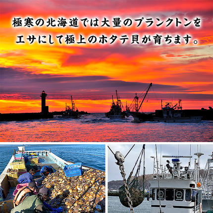北海道紋別市のふるさと納税 24-121 【甲羅組】【訳あり】ほたて貝柱 １kg【欠け/サイズ不揃い】