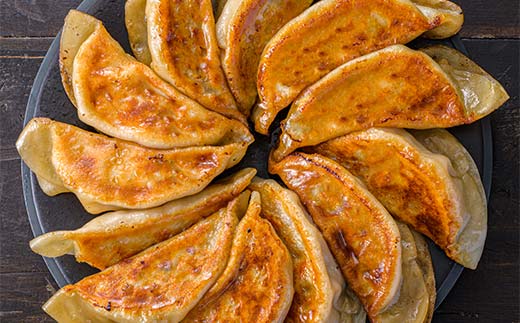 北海道のふるさと納税 千歳高校と天のびろくがコラボ！さけみそ餃子 3箱セット F6S-056