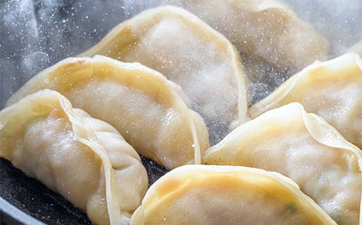 北海道のふるさと納税 千歳高校と天のびろくがコラボ！さけみそ餃子 3箱セット F6S-056