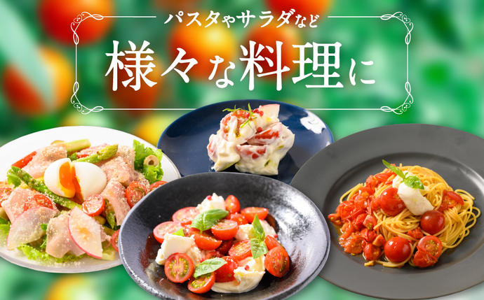 熊本県八代市のふるさと納税 野菜ソムリエ岡田健志郎が育てた ミニトマト 1.2kg以上 トマト 野菜 熊本県産 新鮮 サラダ やさい とまと 八代市産 九州