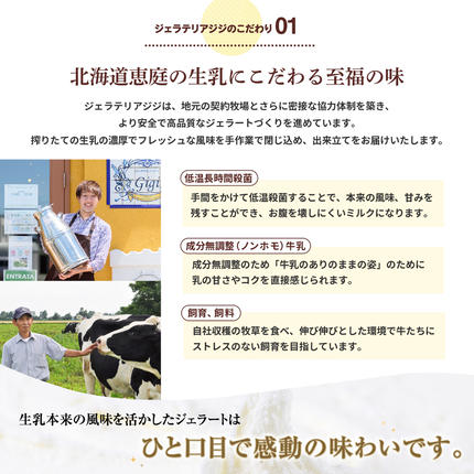北海道恵庭市のふるさと納税 ジェラテリアGigiのイタリアンジェラート人気の味2種+選べる味の3種セット【43000403】