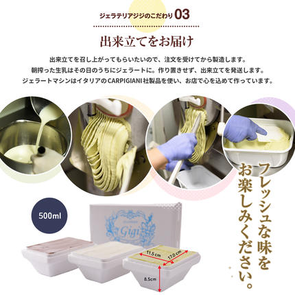 北海道恵庭市のふるさと納税 ジェラテリアGigiのイタリアンジェラート人気の味2種+選べる味の3種セット【43000403】