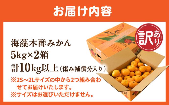 セゾン限定】訳あり 海藻木酢みかん 計 10kg 以上 傷み補償分入り