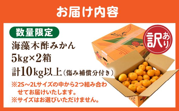 セゾン限定】訳あり 数量限定 海藻木酢みかん 計 10kg 以上 傷み補償分
