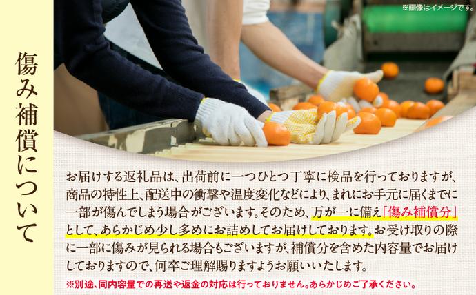 セゾン限定】訳あり 数量限定 海藻木酢みかん 計 10kg 以上 傷み補償分