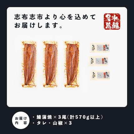 鹿児島県志布志市のふるさと納税 鹿児島県産うなぎ蒲焼 名水慈鰻 特上3尾(1尾190g以上)＜計570g以上＞ a9-058
