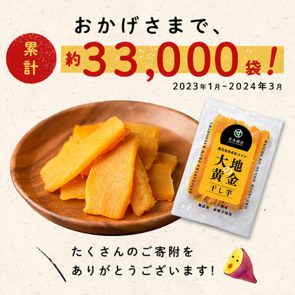鹿児島県志布志市のふるさと納税 大地の黄金干し芋 計500g(100g×5袋) p7-039
