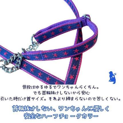 静岡県浜松市のふるさと納税 【小型犬用・Sサイズ】 ハーフチョークカラーとリードのセット (ネイビースター) 犬 犬用 小型 ハーフチョーク リード セット 浜松市