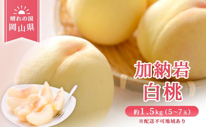 【 2026年 先行予約 】 桃 岡山県産