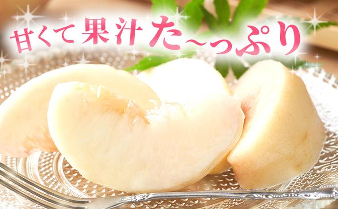 岡山県里庄町のふるさと納税 【 2026年 先行予約 】 桃 岡山県産 加納岩 白桃 約1.5kg (5～7玉) 《2026年6月下旬-7月上旬頃出荷》岡山 はくとう スイーツ フルーツ 果物 先行予約 数量限定 期間限定 岡山 里庄町 モモ もも 桃