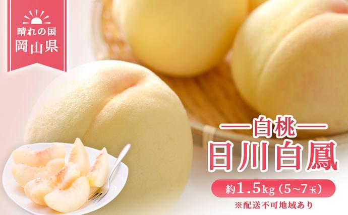 【 2026年 先行予約 】 桃 岡山県産