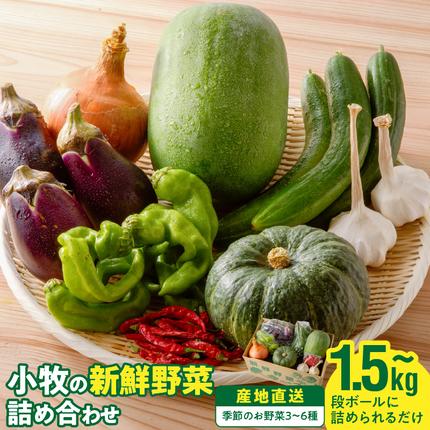 愛知県小牧市のふるさと納税 ネオコスモ農園で採れた小牧の野菜詰め合わせ［124N01］