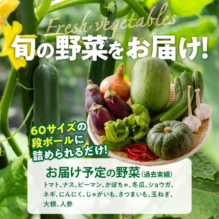 愛知県小牧市のふるさと納税 ネオコスモ農園で採れた小牧の野菜詰め合わせ［124N01］