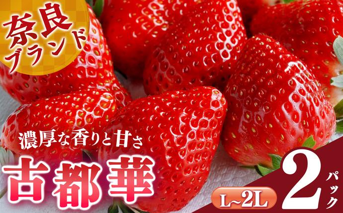 平群の古都華 L〜2Lサイズ (2パック 1ケース)計2パック 阪野農園 | 果物 くだもの フルーツ 苺 イチゴ いちご ストロベリー 古都華 ことか 旬の品種 産地直送 奈良県 平群町