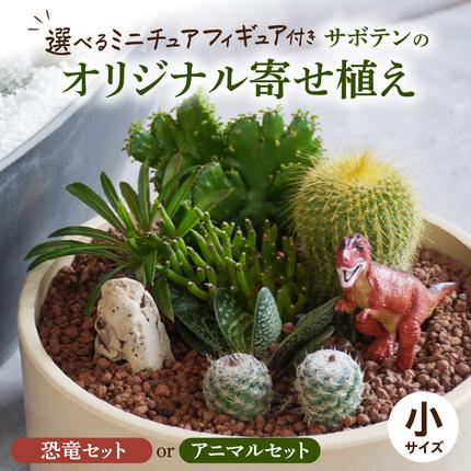【中古】サボテン?故郷と栽培 サボテン 故郷と栽培 中古本・書籍 | ブックオフ公式オンラインストア