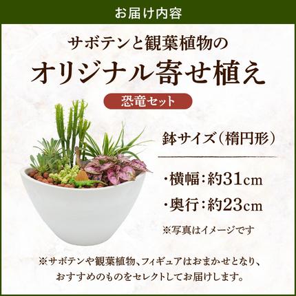 サボテンと観葉植物のオリジナル寄せ植え【恐竜セット】［133O05